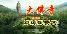 小美女骚货片片在线观看中国浙江-新昌大佛寺旅游风景区